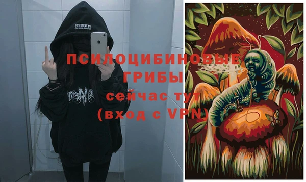 скорость Баксан
